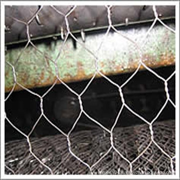 Hexagonal Wire Netting